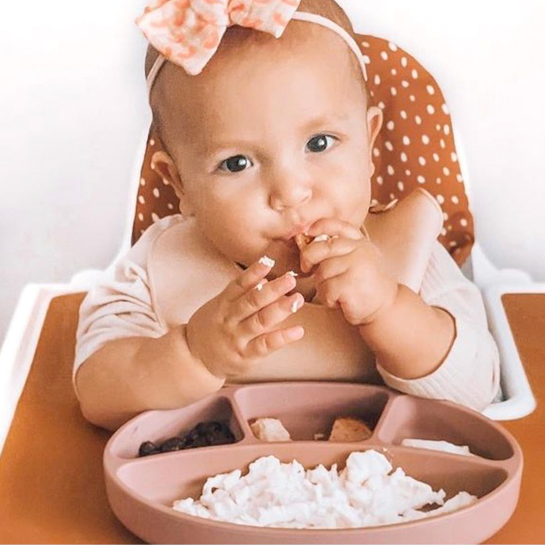 Silicone Divided Suction Plate