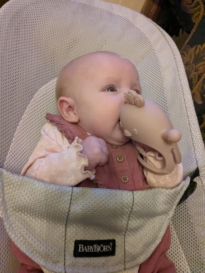 Silicone Mitten Teether