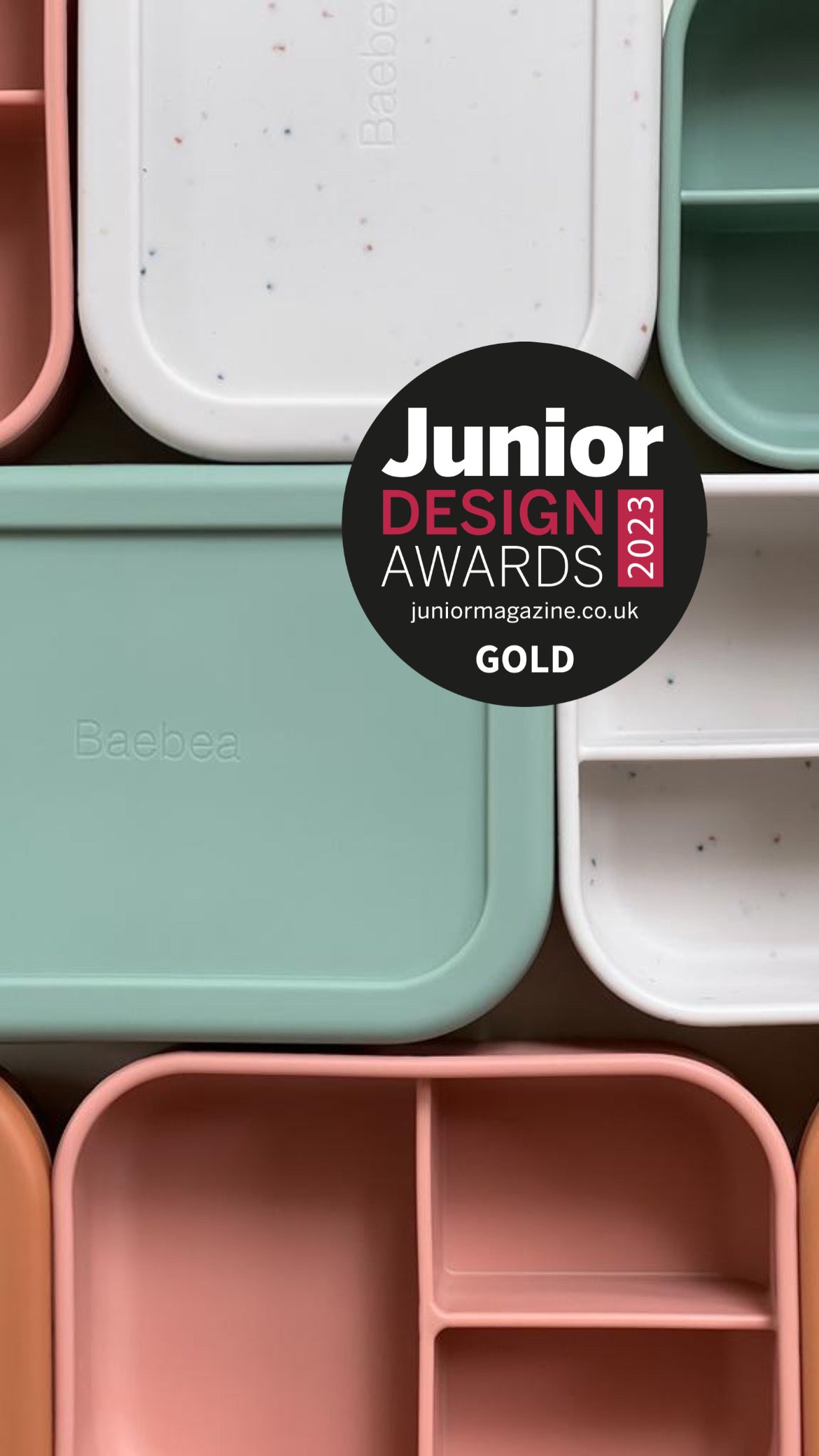 Silicone Bento Lunch Box