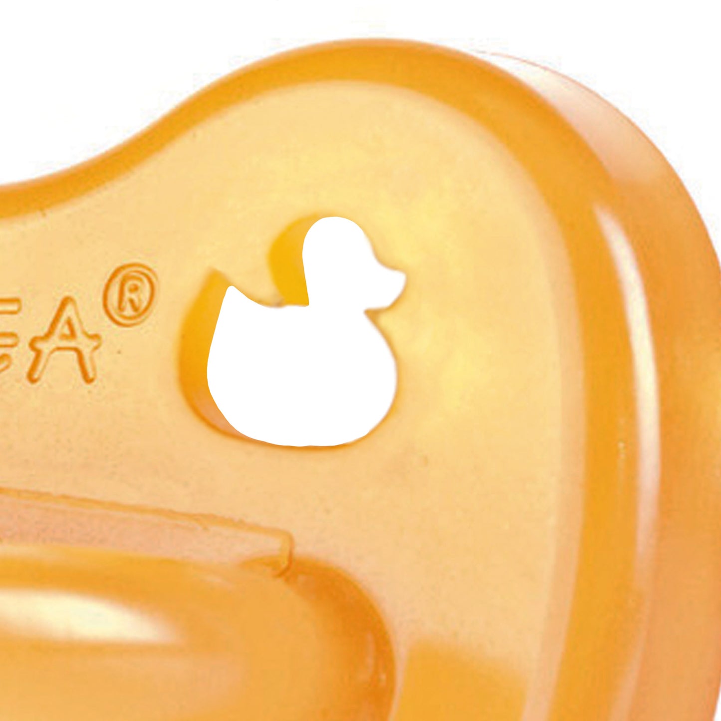 Hevea Dummy