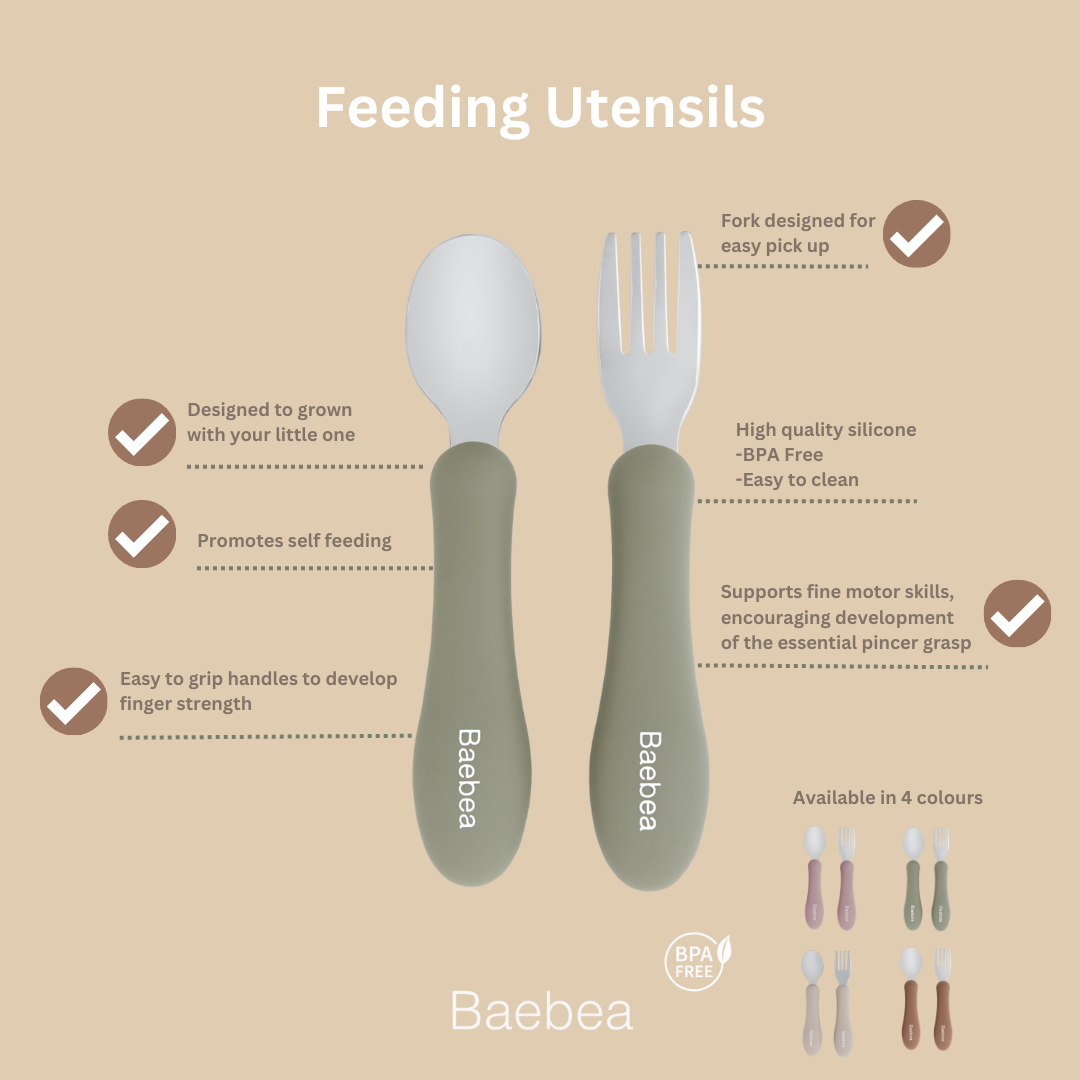 Silicone Bento Lunch Box & Utensils Bundle