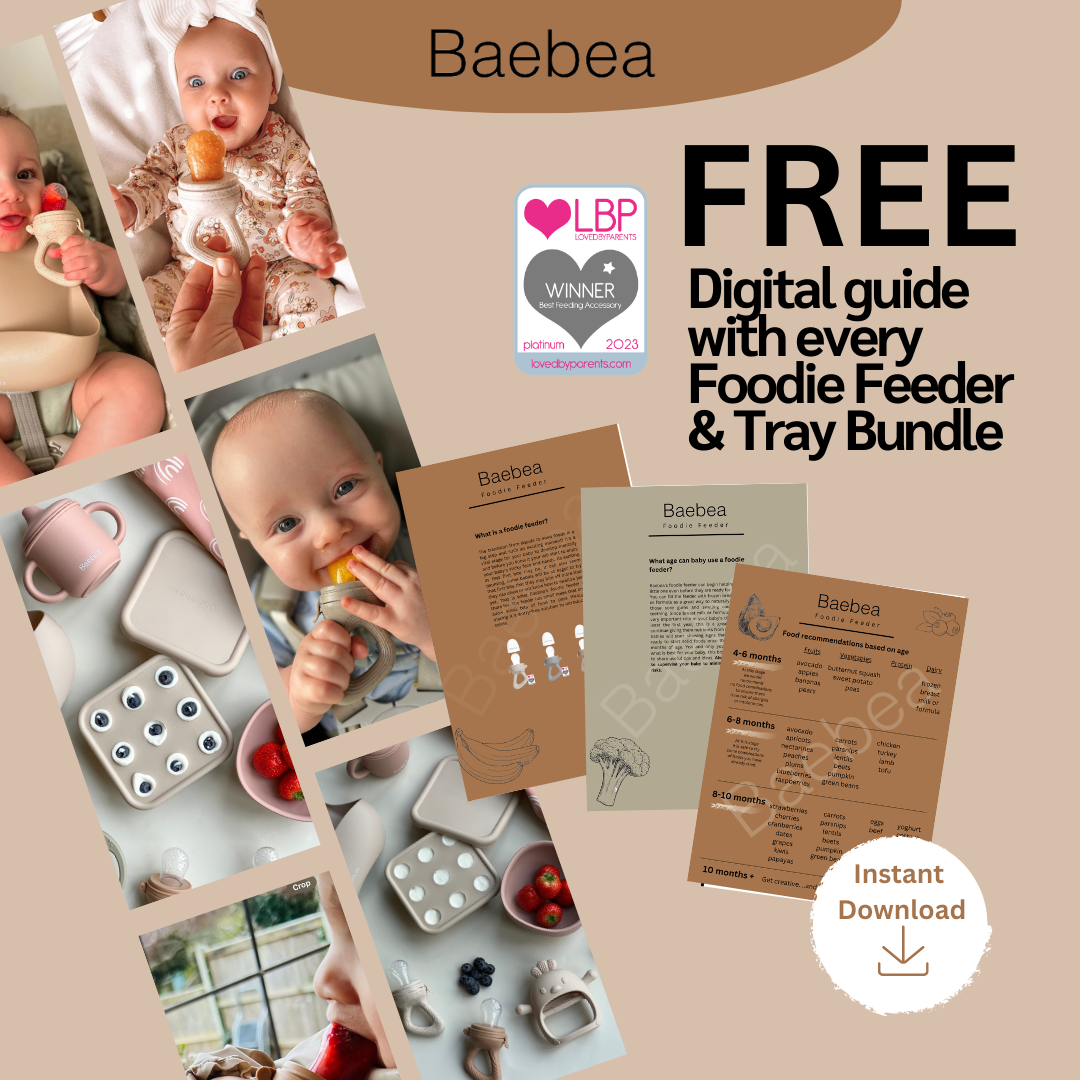 Foodie Feeder & Tray Bundle Saver Set