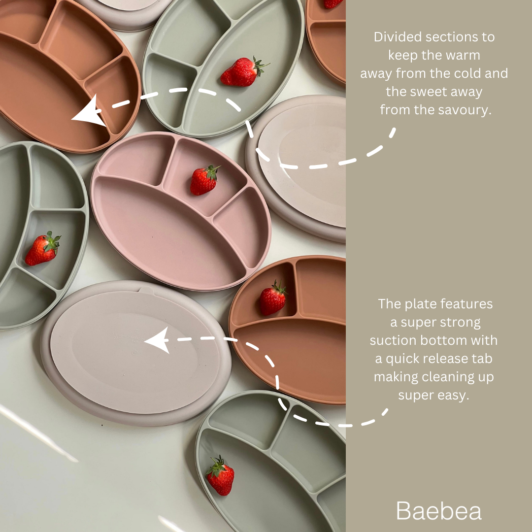 Children's plates with suction bottoms deals