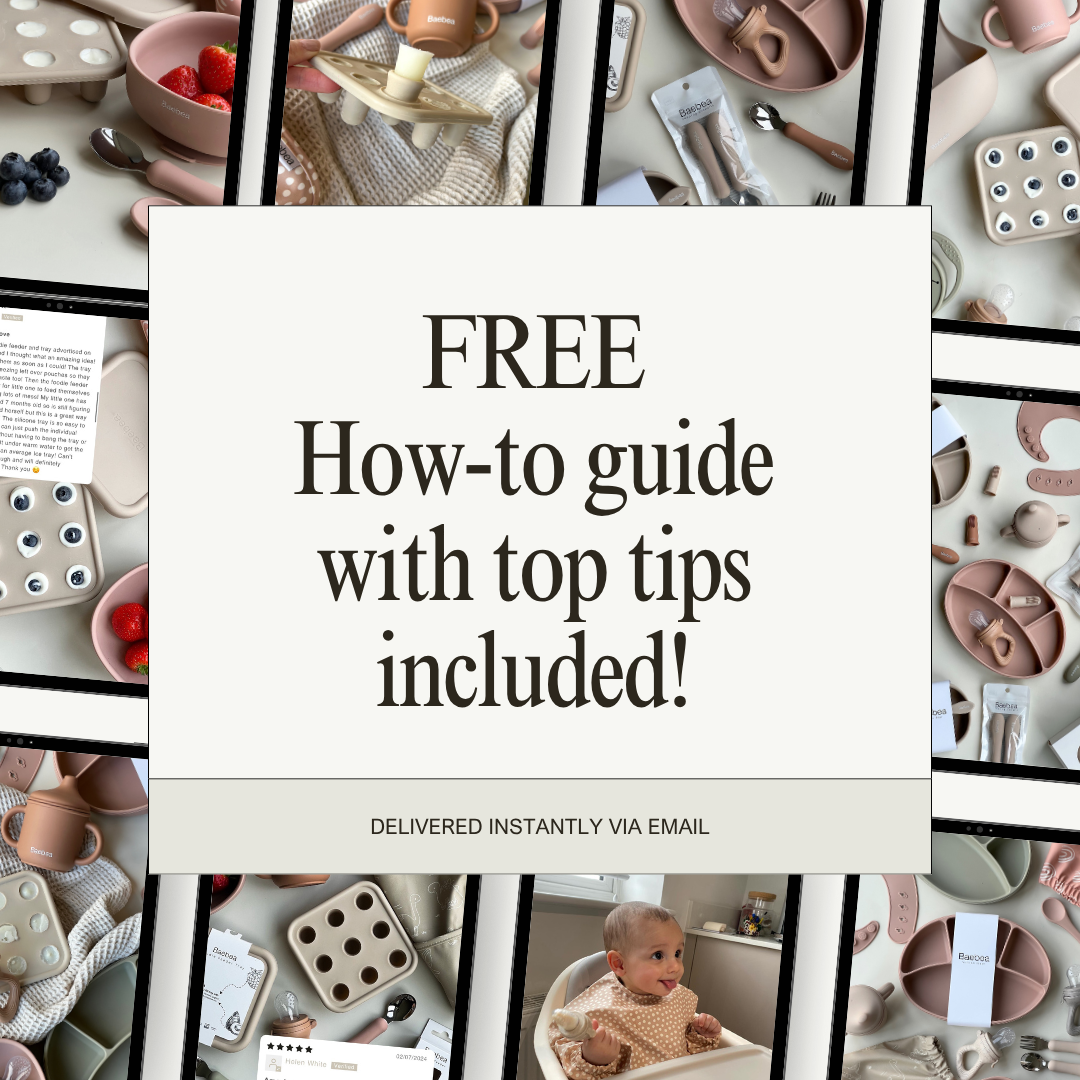 Foodie Feeder & Tray Bundle Saver Set